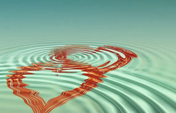 Cazino Rich King Cazinou Suport